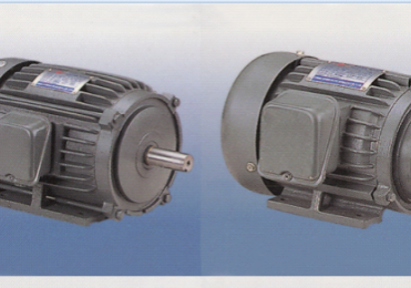 Electric Motor